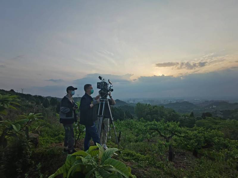 创意破圈！安源区电商产品宣传视频用故事化叙事引爆流量