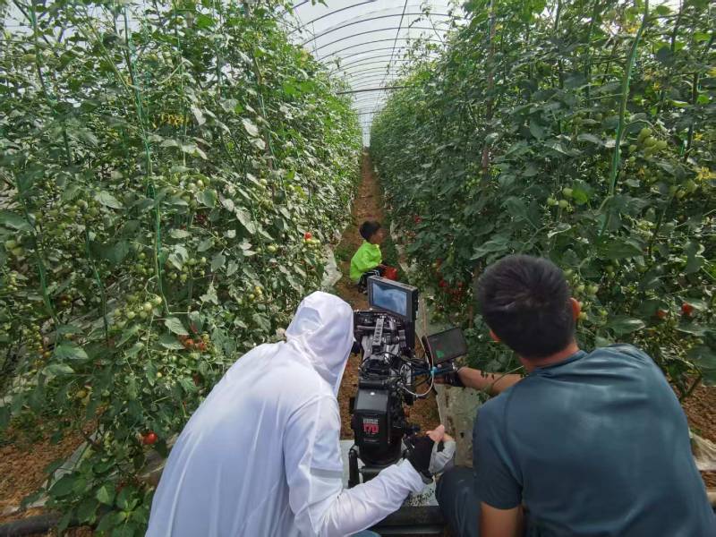 安源区产品宣传视频拍摄公司进阶指南，助力品牌抢占传播高地